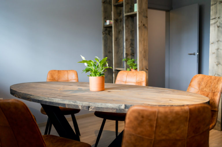 nervasite5 1 768x507