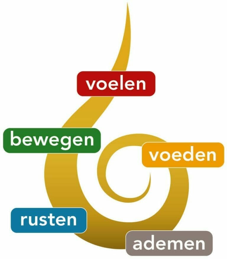 spiraal 5 elementen 1 768x878