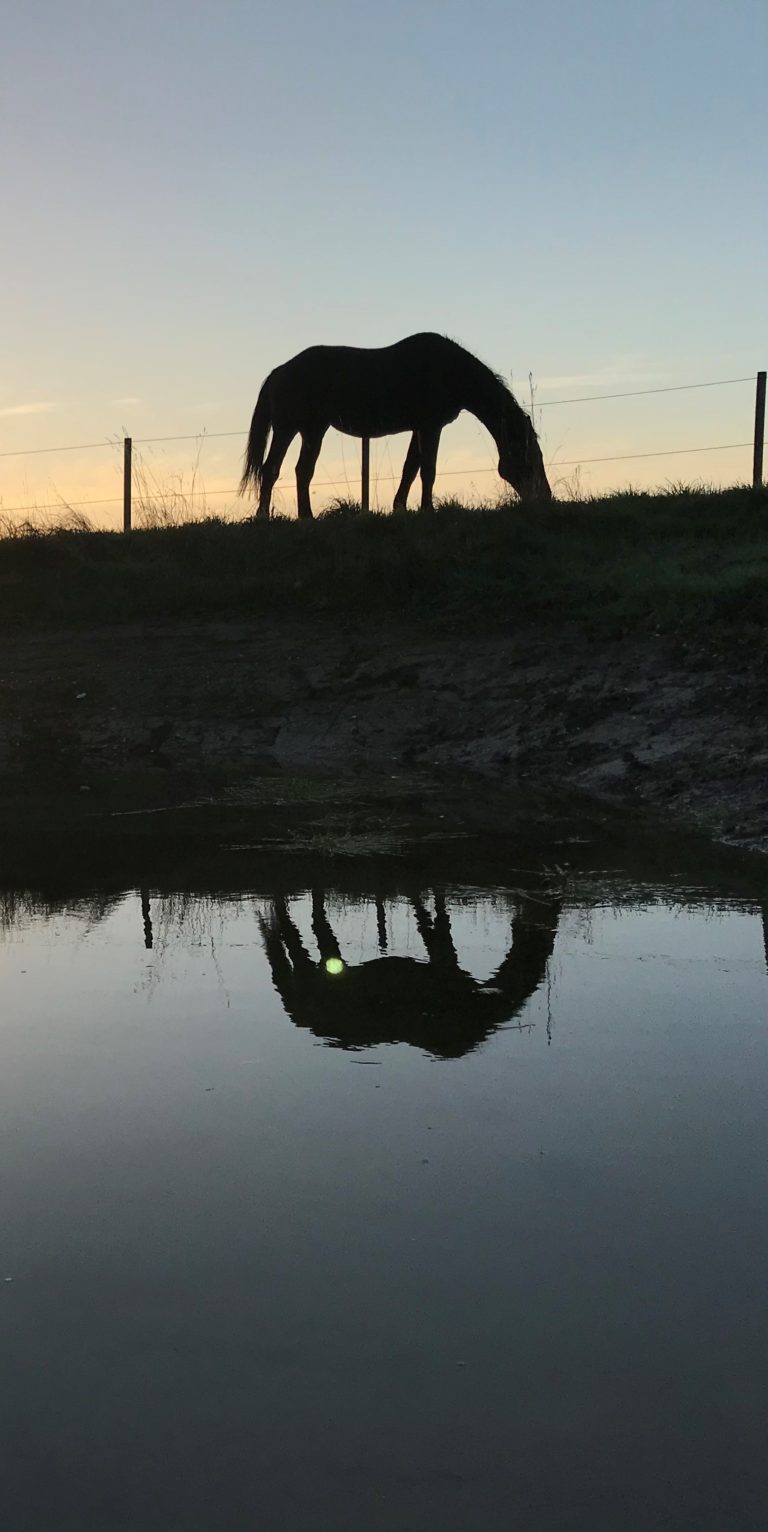 Reflectie Viga small 768x1532