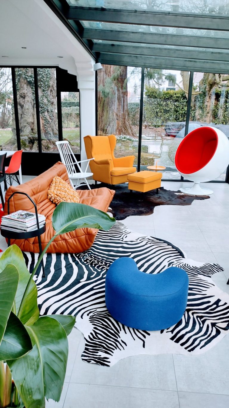 IMG 20230216 151435521 HDR 768x1365