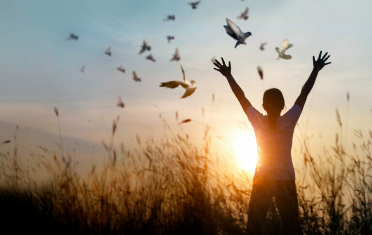 AdobeStock 311664549 1 768x485