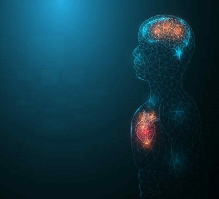 Afbeelding HCH voorpagina 768x699