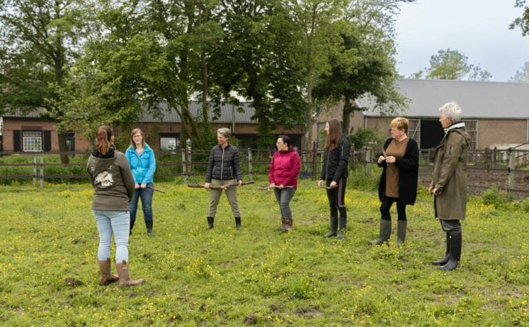 IMG 0827 Verbeterd NR 768x474