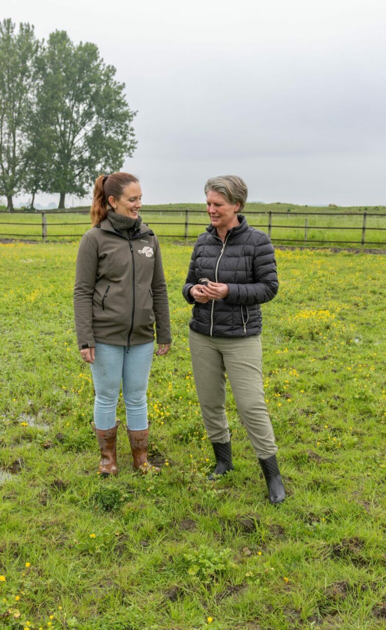 IMG 0847 Verbeterd NR 2 768x1255